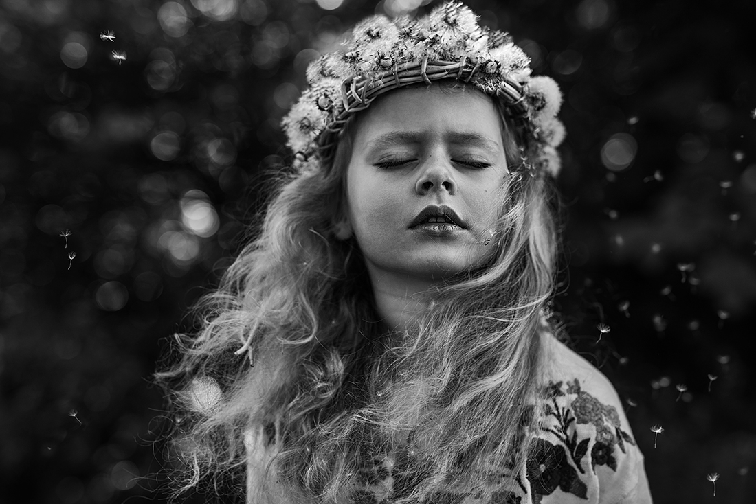 dandelions