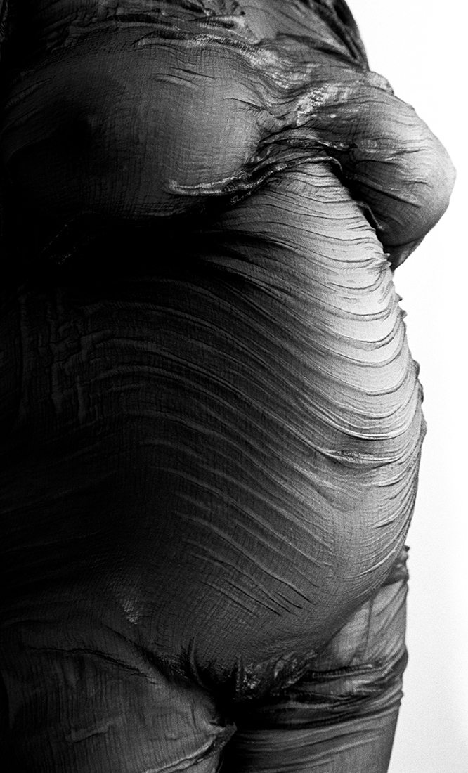 Pregnant Venus