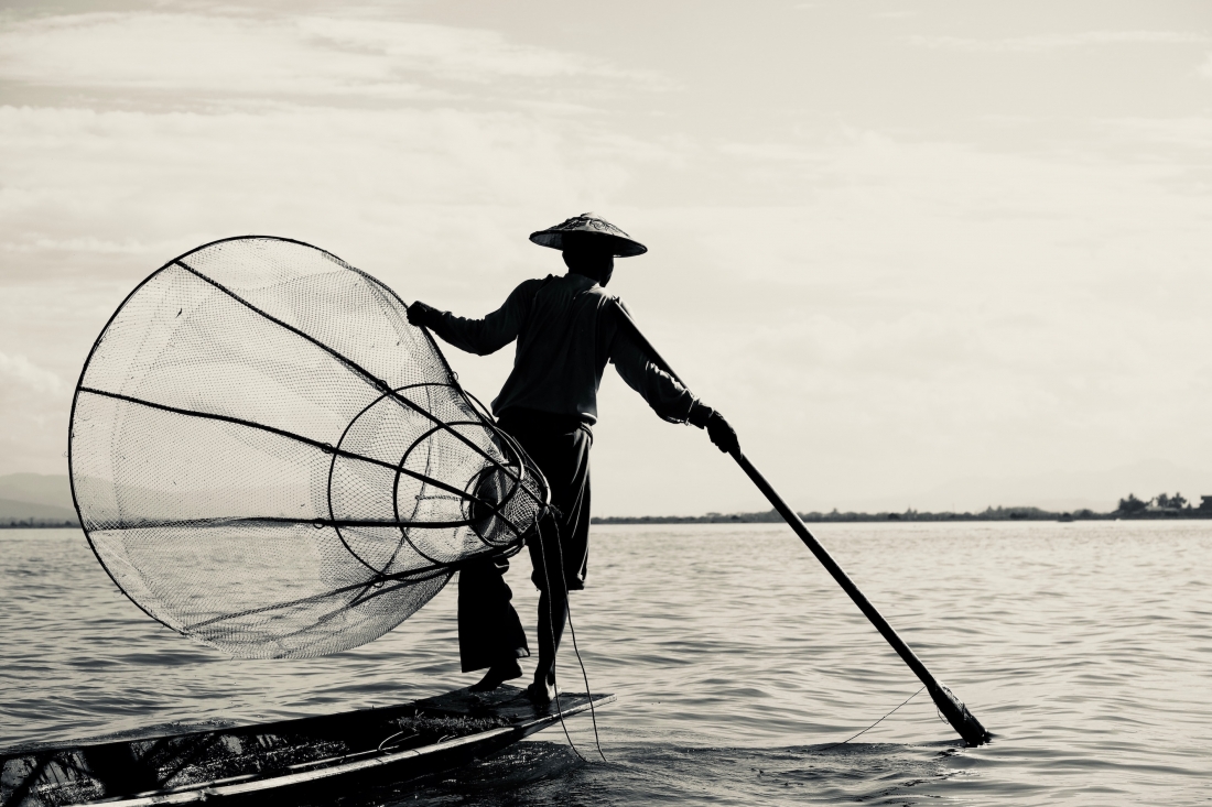 The art of fishing