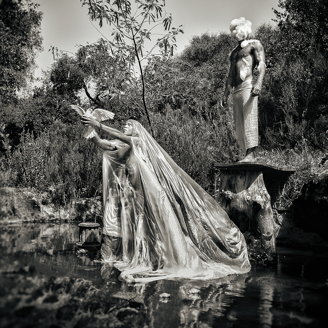 The Pond