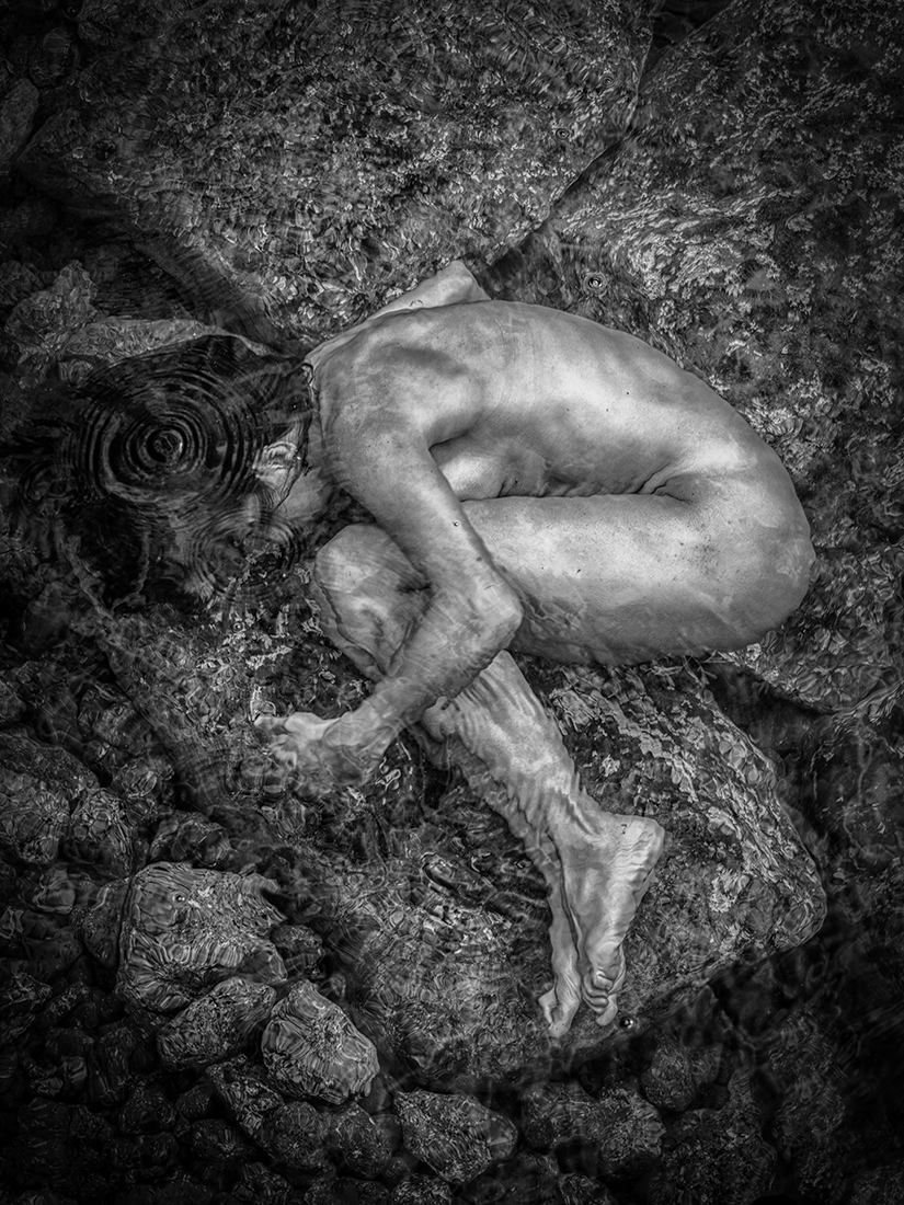 WATER CREATURE