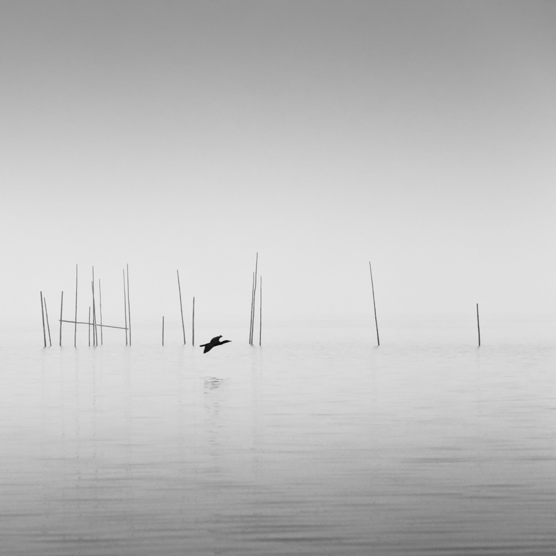 fishing traps