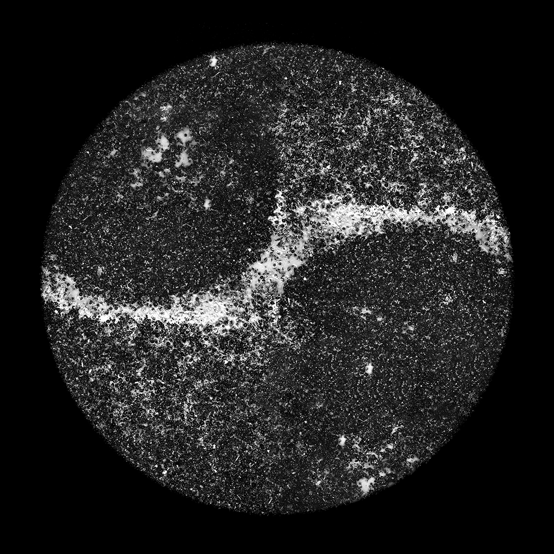 Cosmogony of Wine