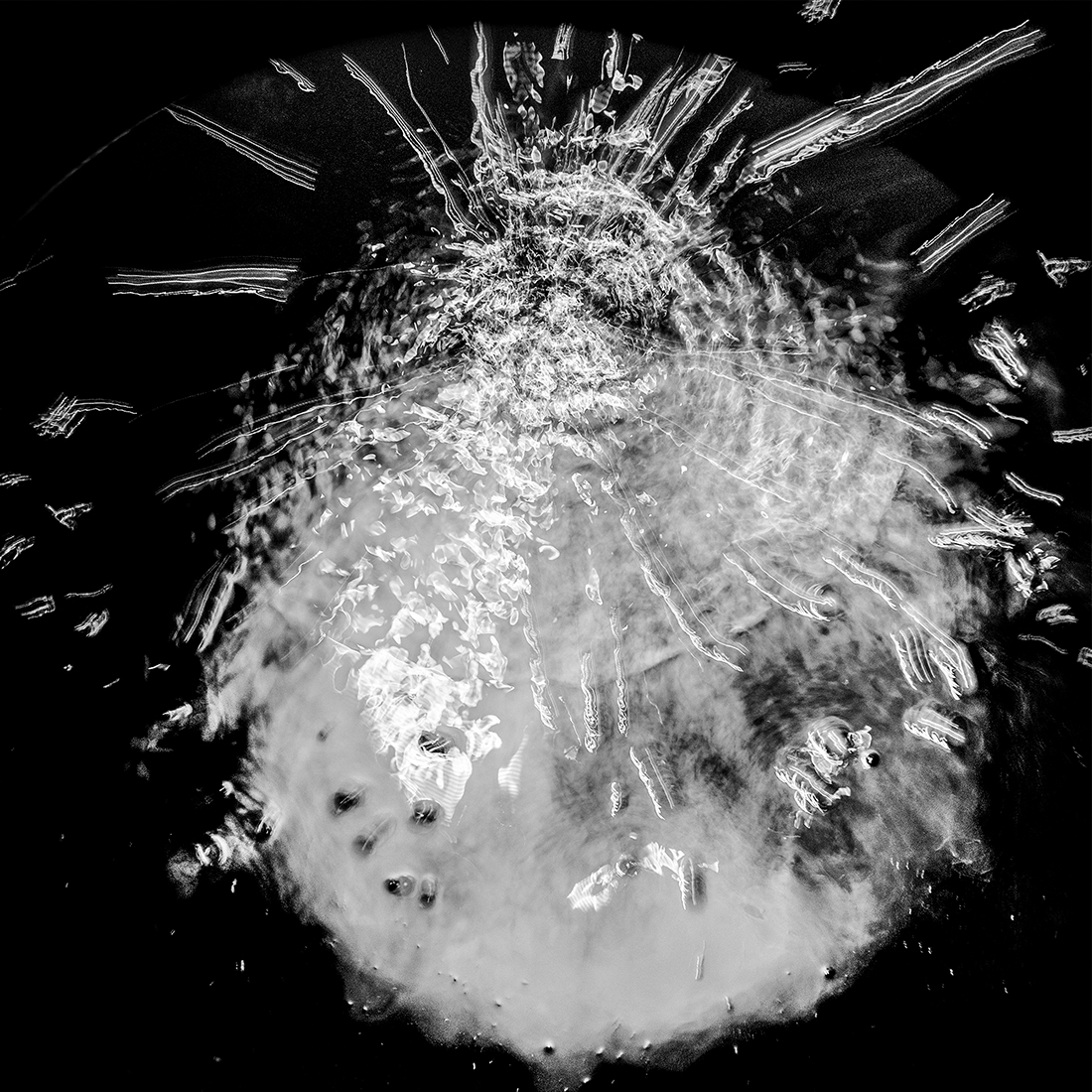 Cosmogony of Wine