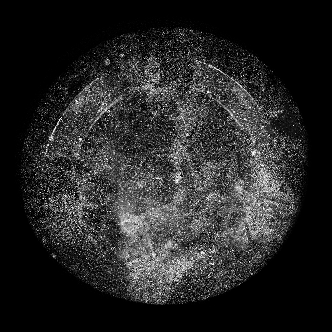 Cosmogony of Wine