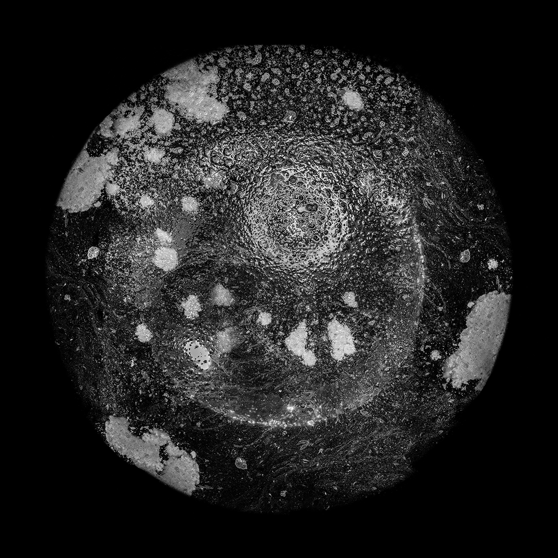 Cosmogony of Wine