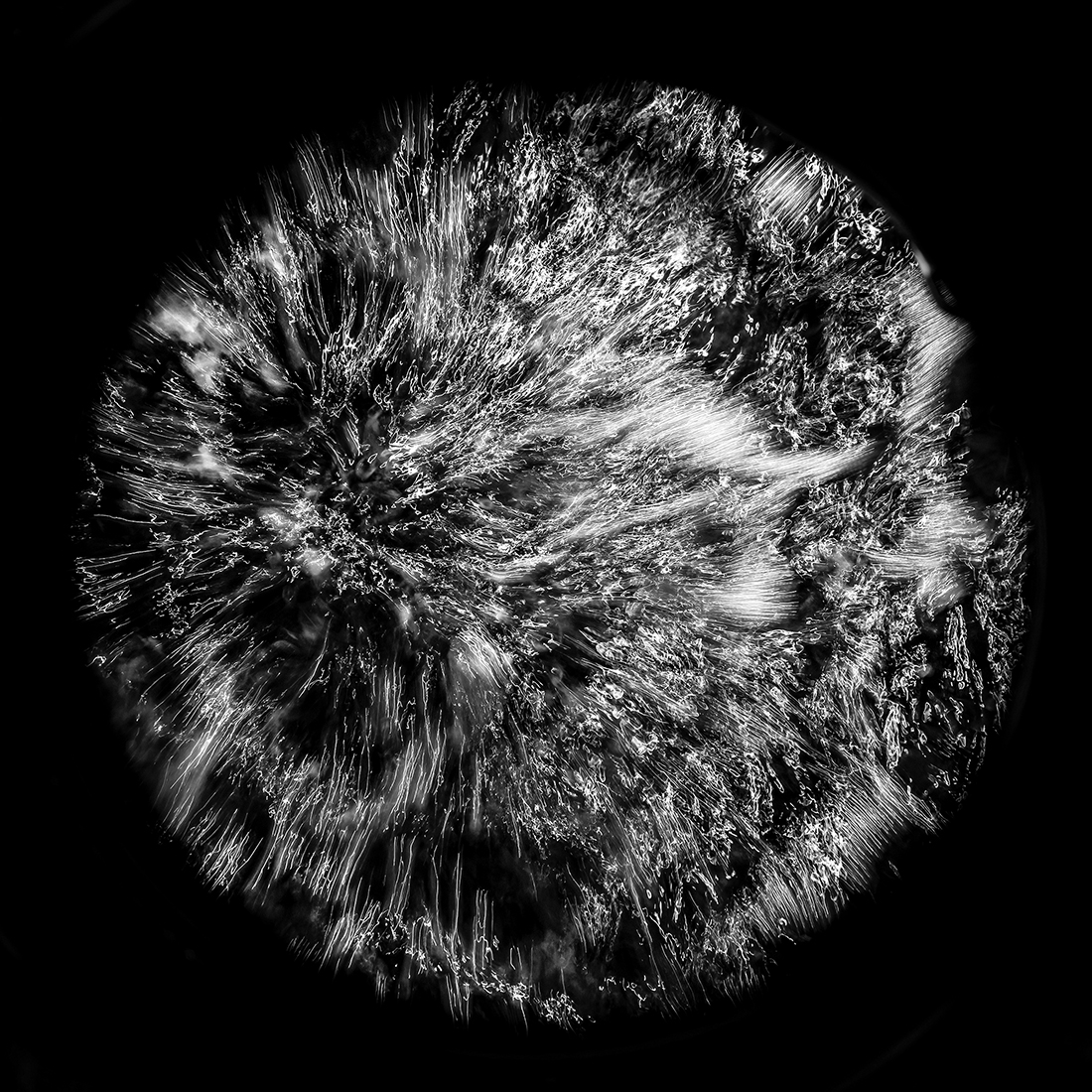 Cosmogony of Wine