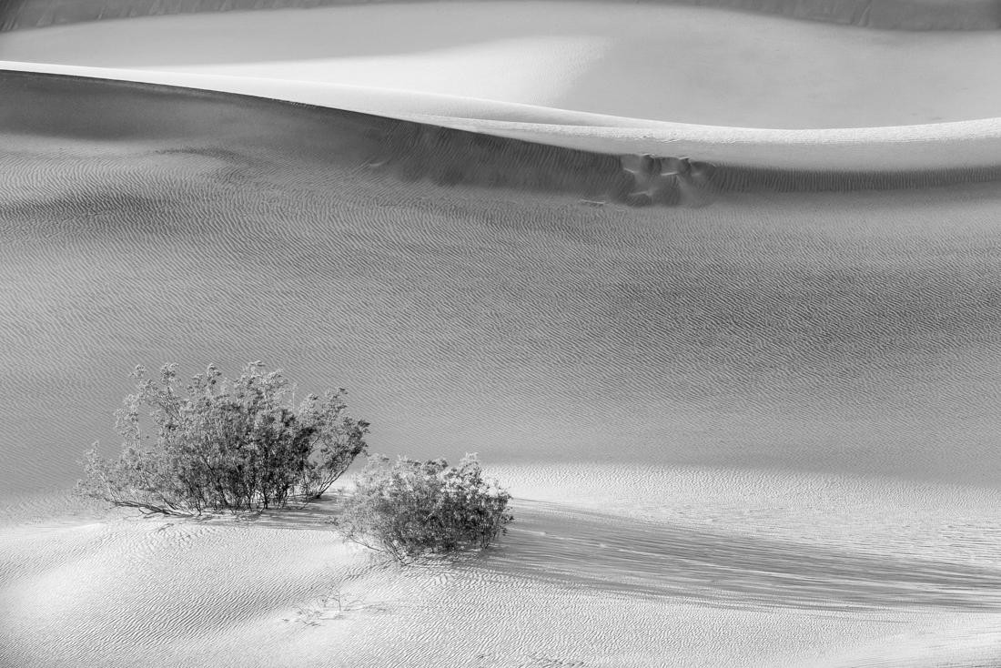 The Spirit of the Desert
