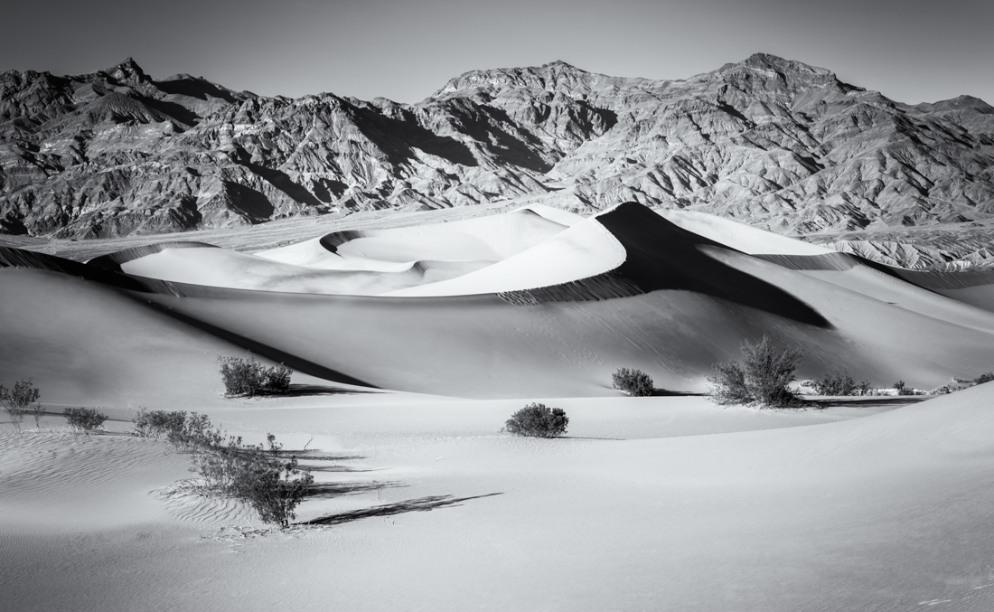 The Spirit of the Desert