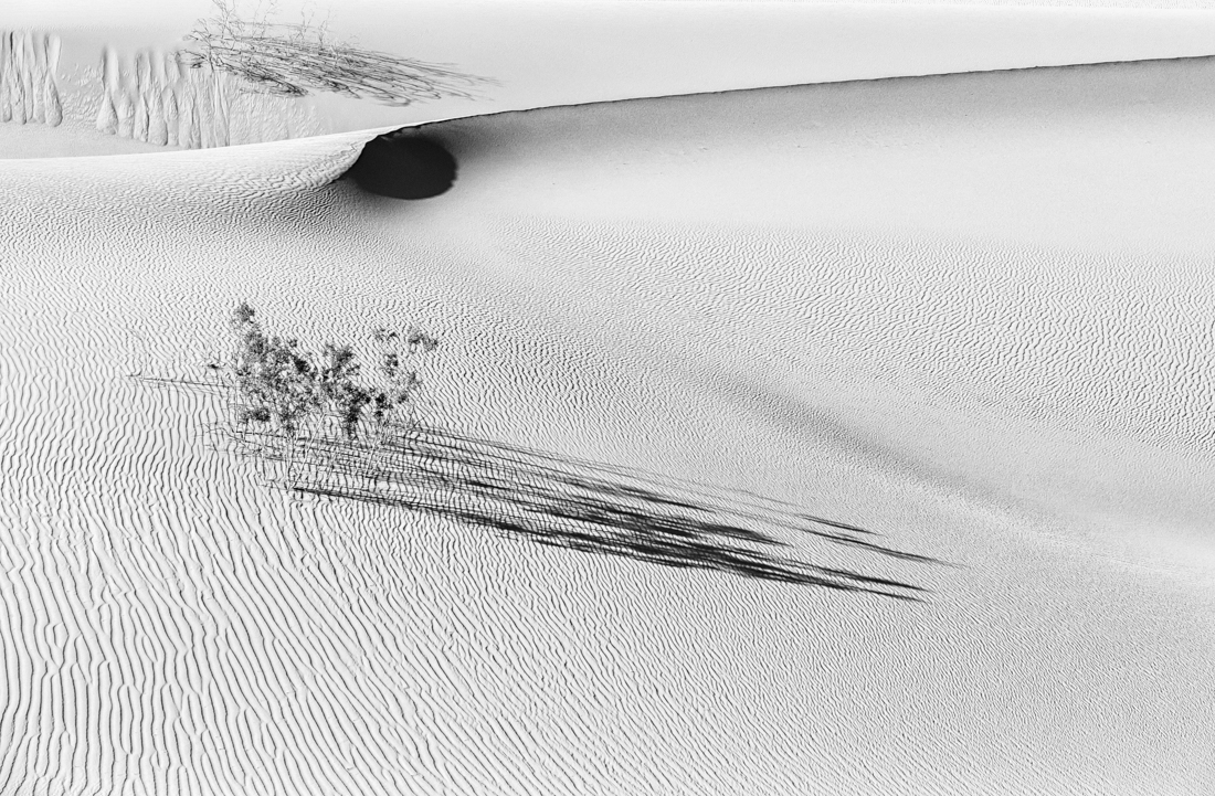 The Spirit of the Desert