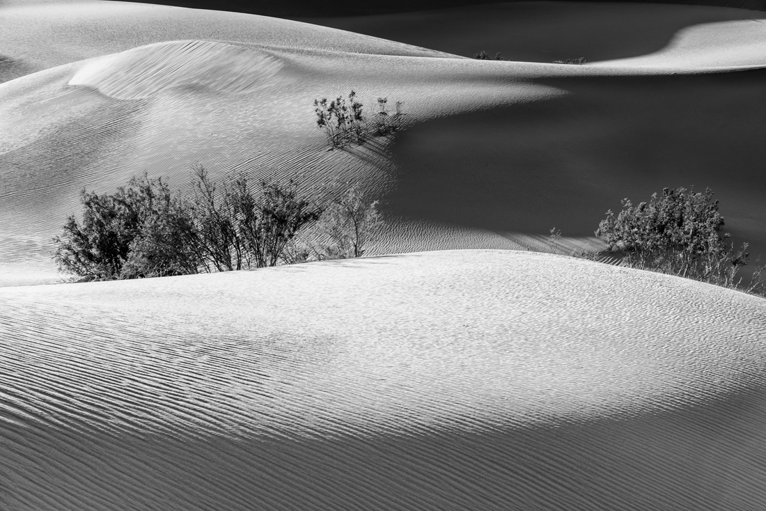 The Spirit of the Desert
