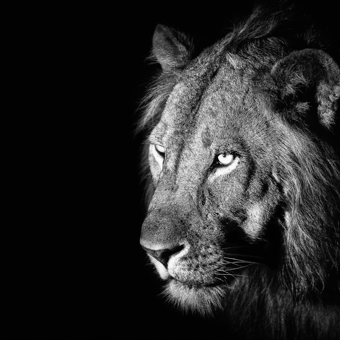 Prince of Darkness