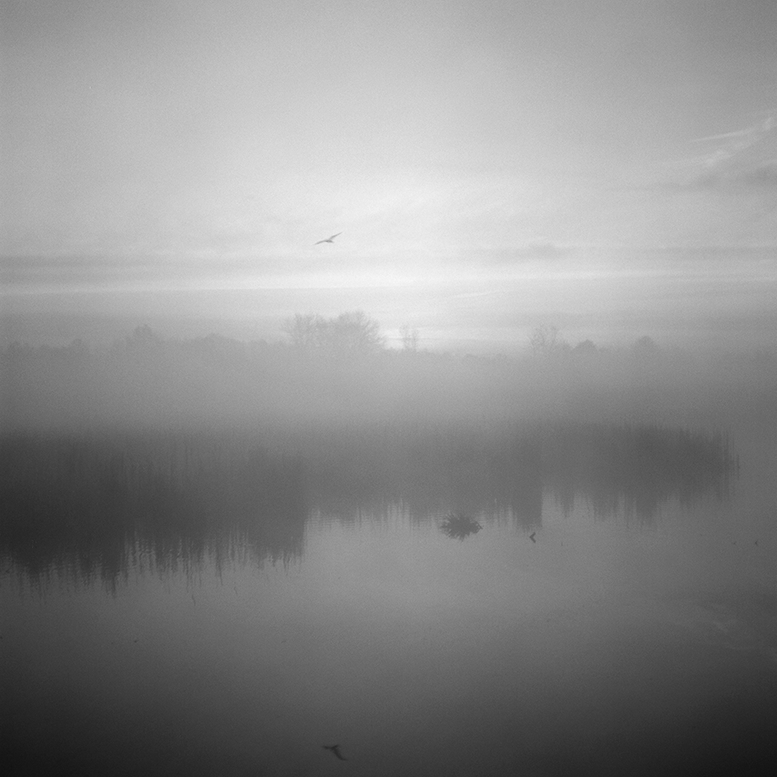 When morning comes around