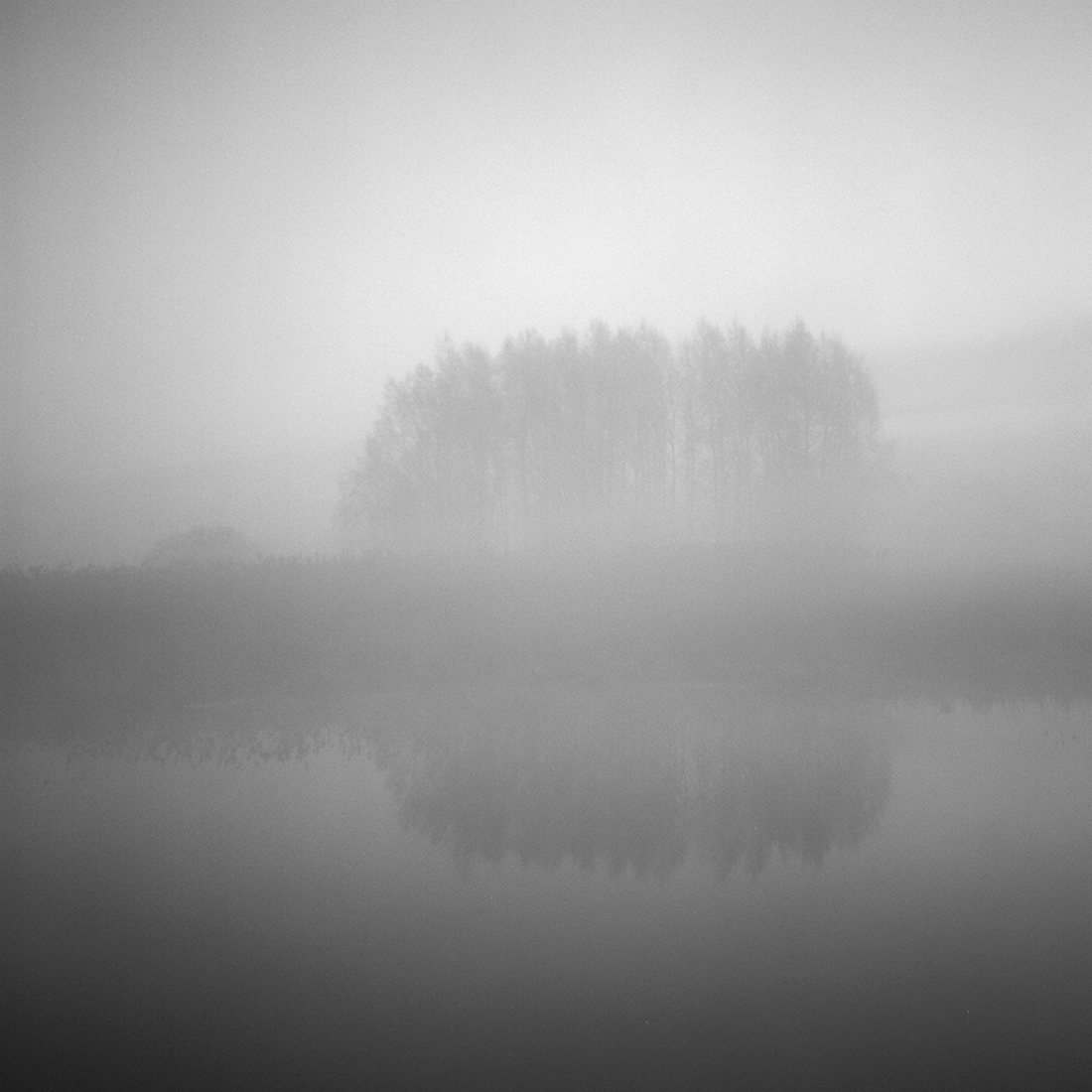When morning comes around