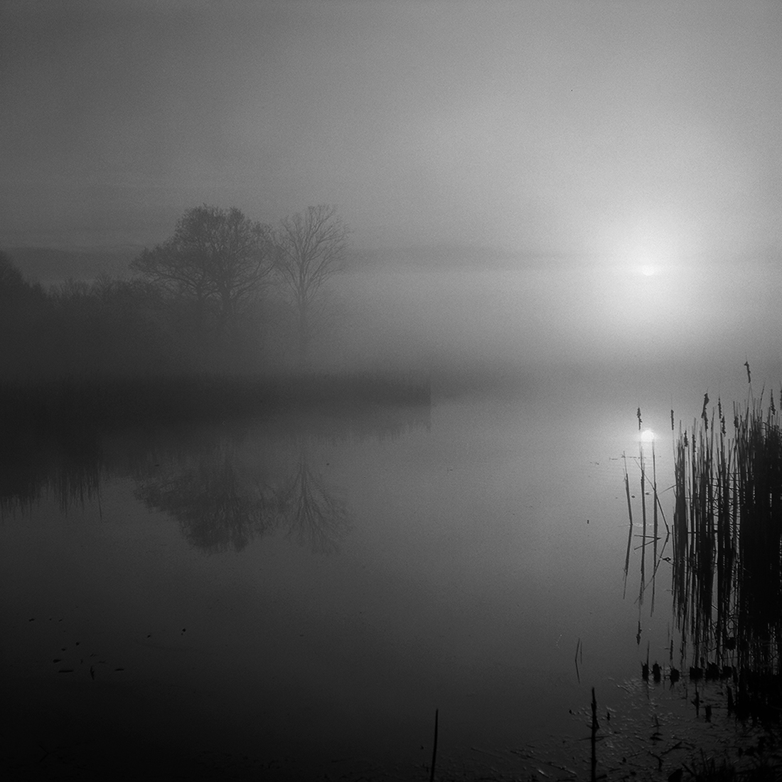 When morning comes around