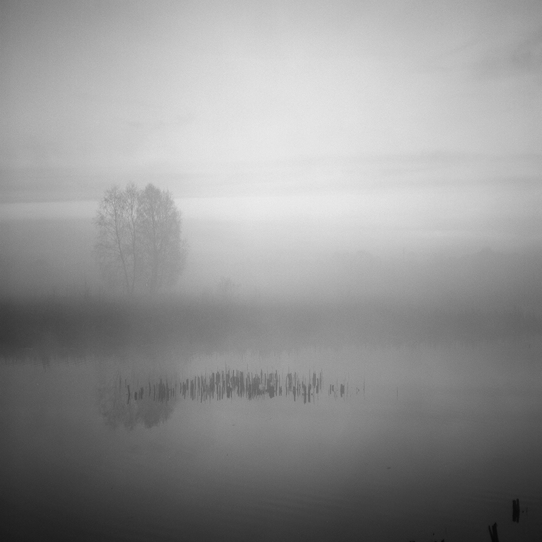 When morning comes around