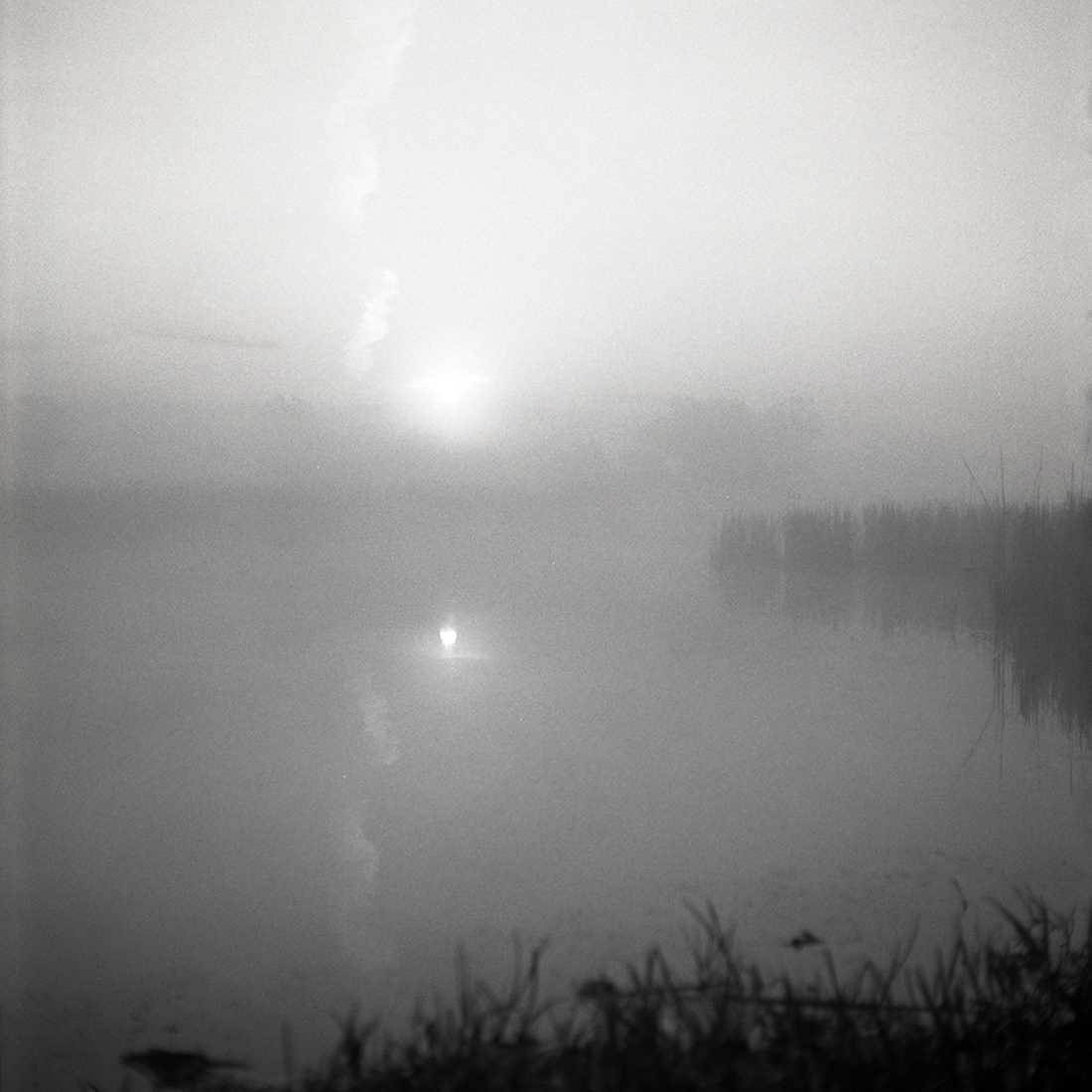 Sounds of morning