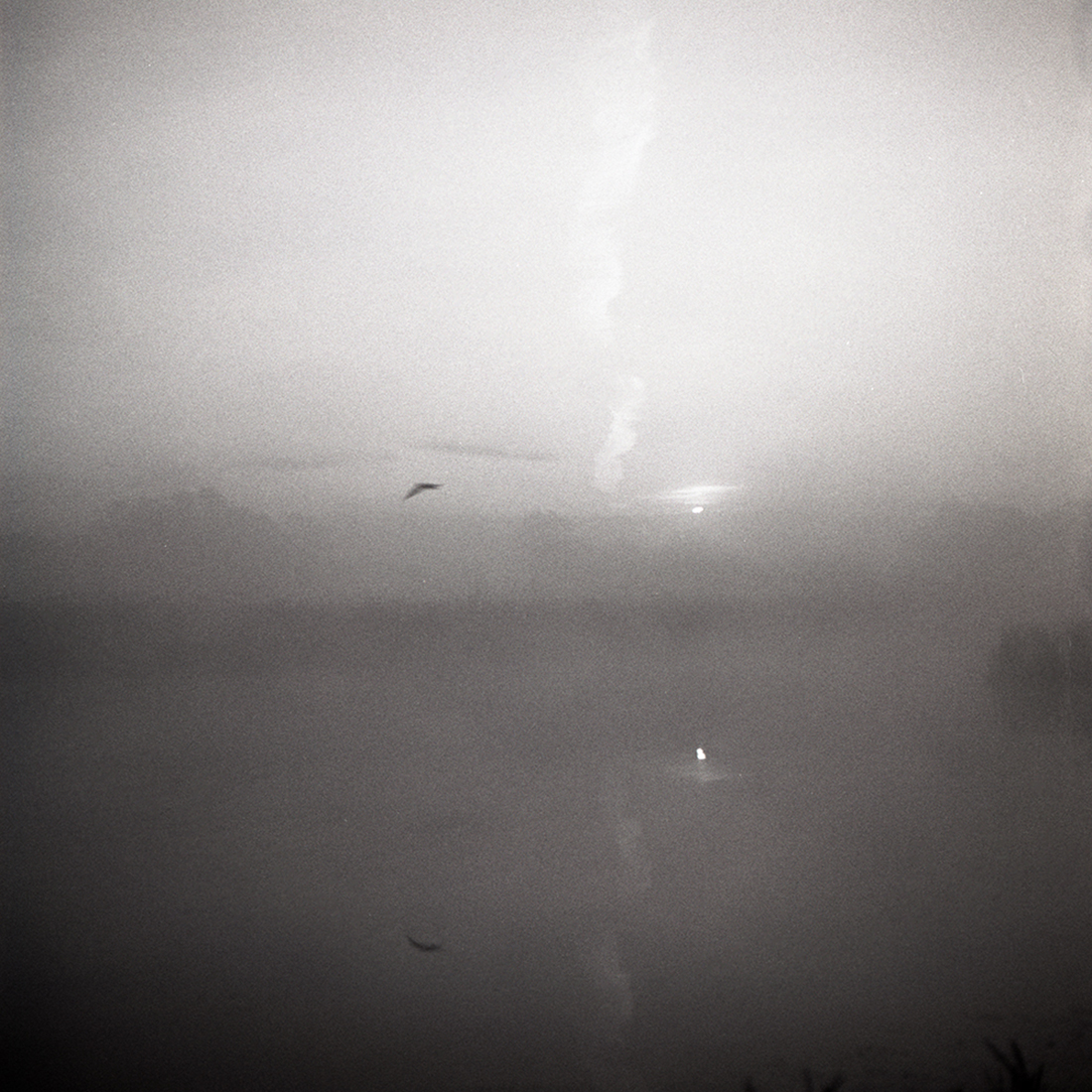 Sounds of morning