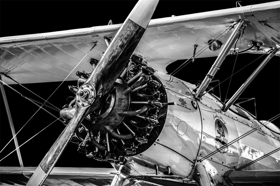 Wings of Memory