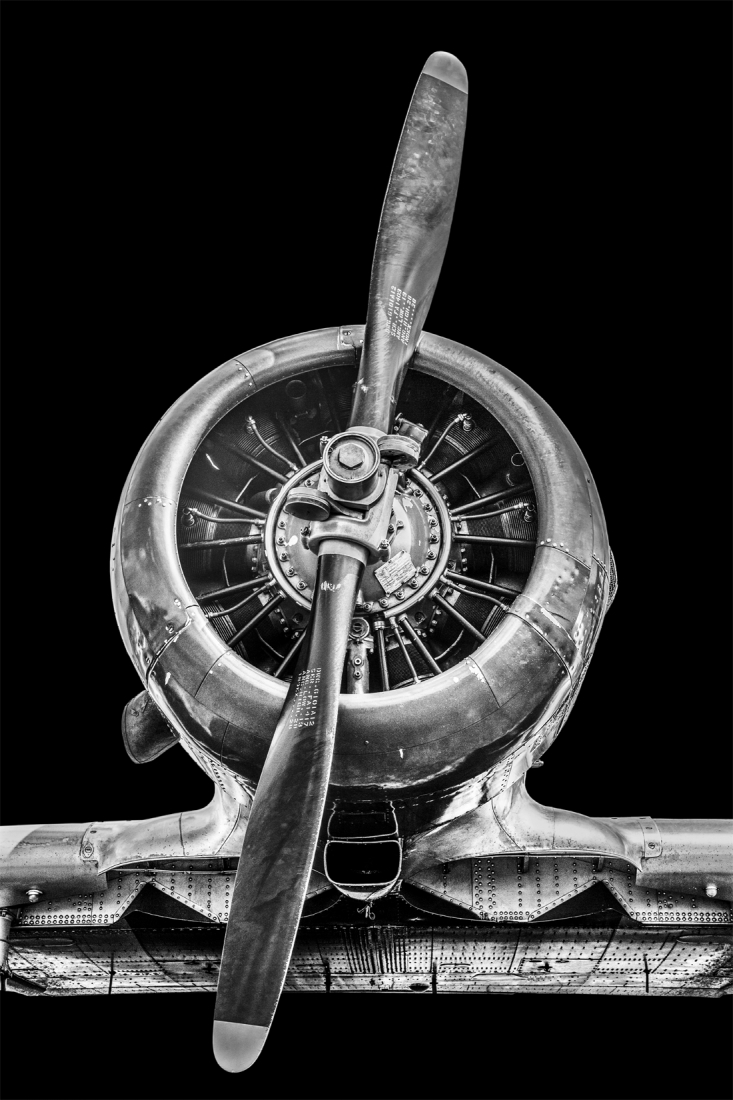 Wings of Memory