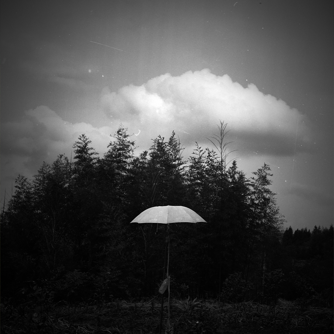 An umbrella