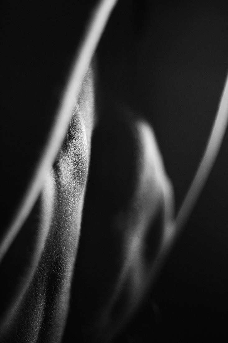 Deconstructions