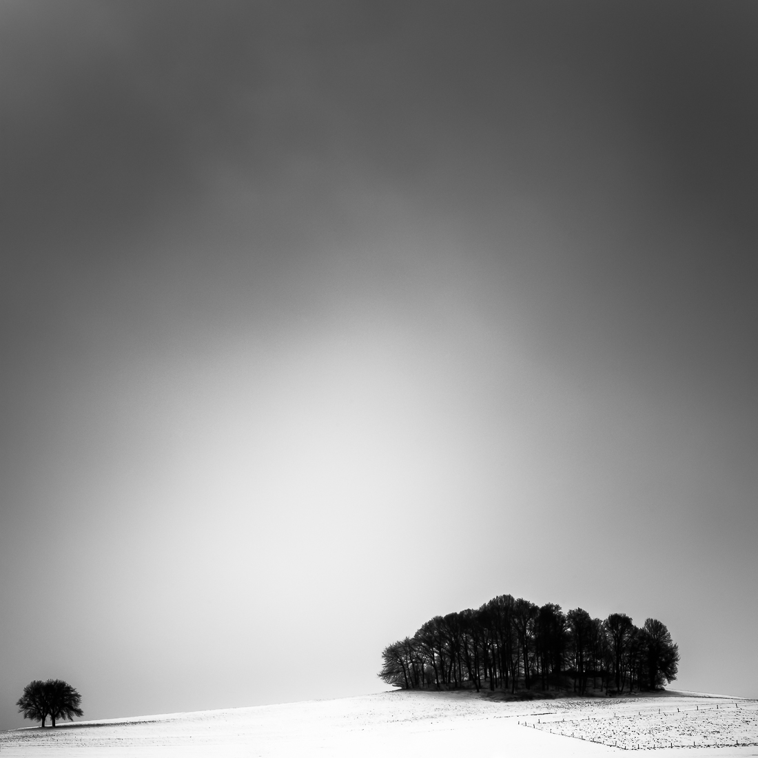 Winter Scenery