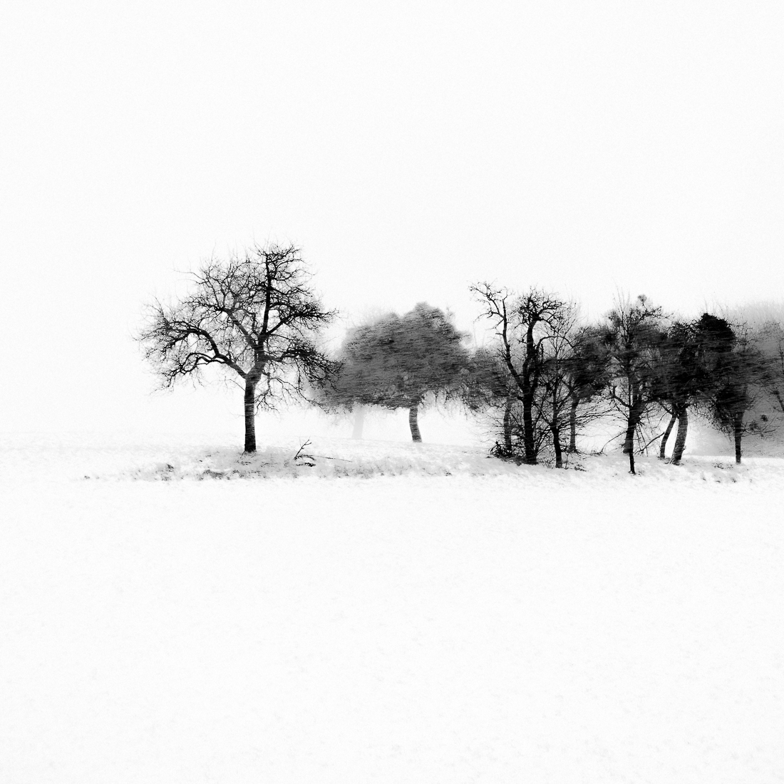 Winter Scenery
