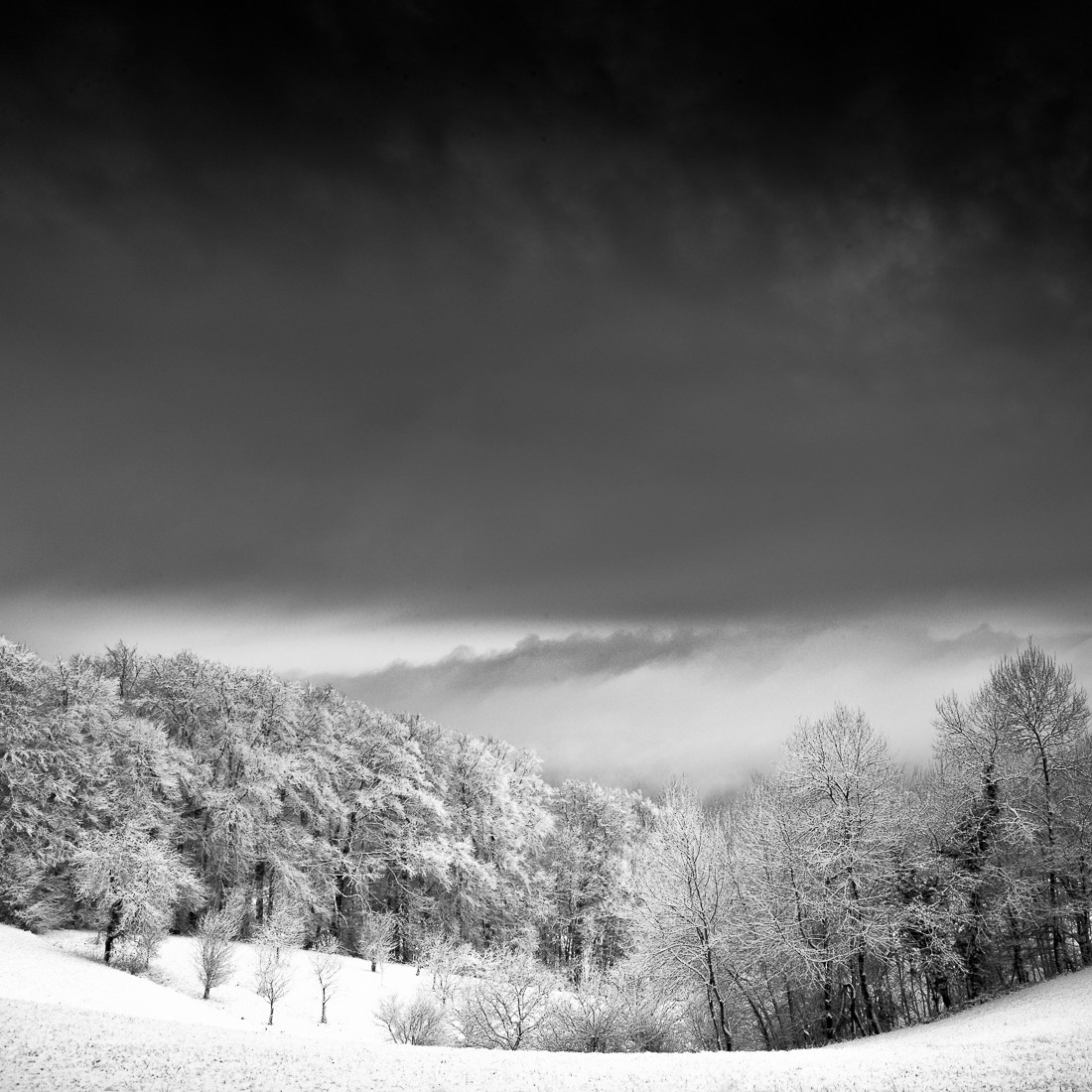 Winter Scenery