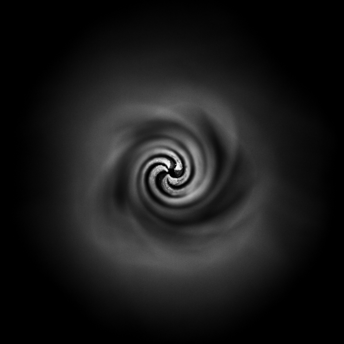 Cosmoflora
