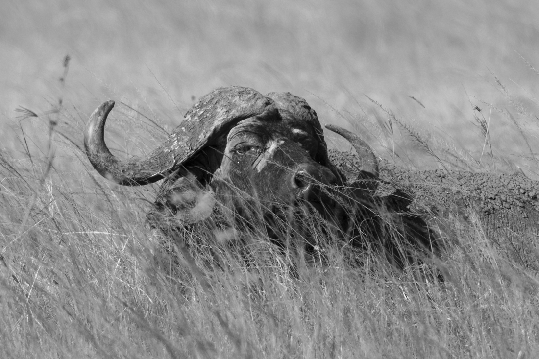 Old Man of the Mara