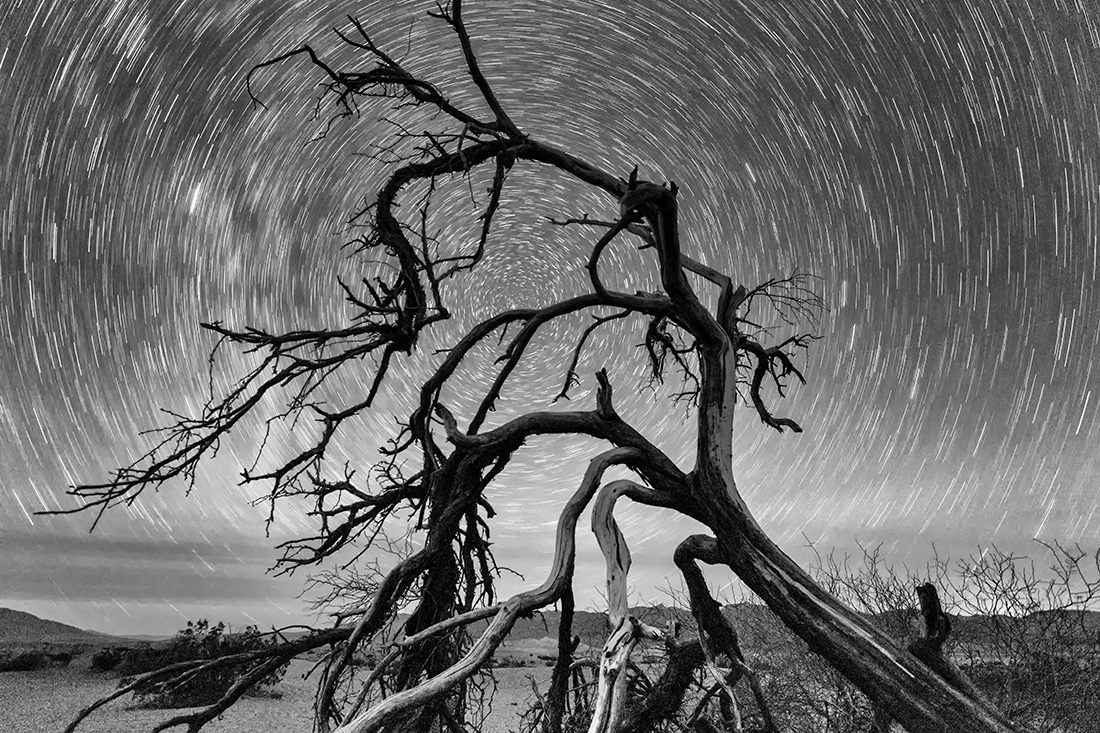 Vortex