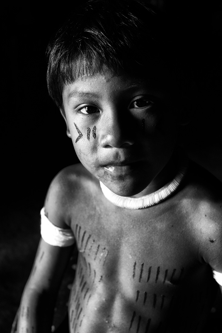 Little Kamayura Indian
