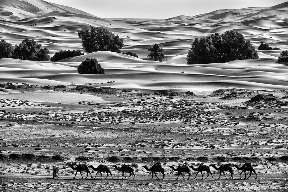 Erg Chebbi