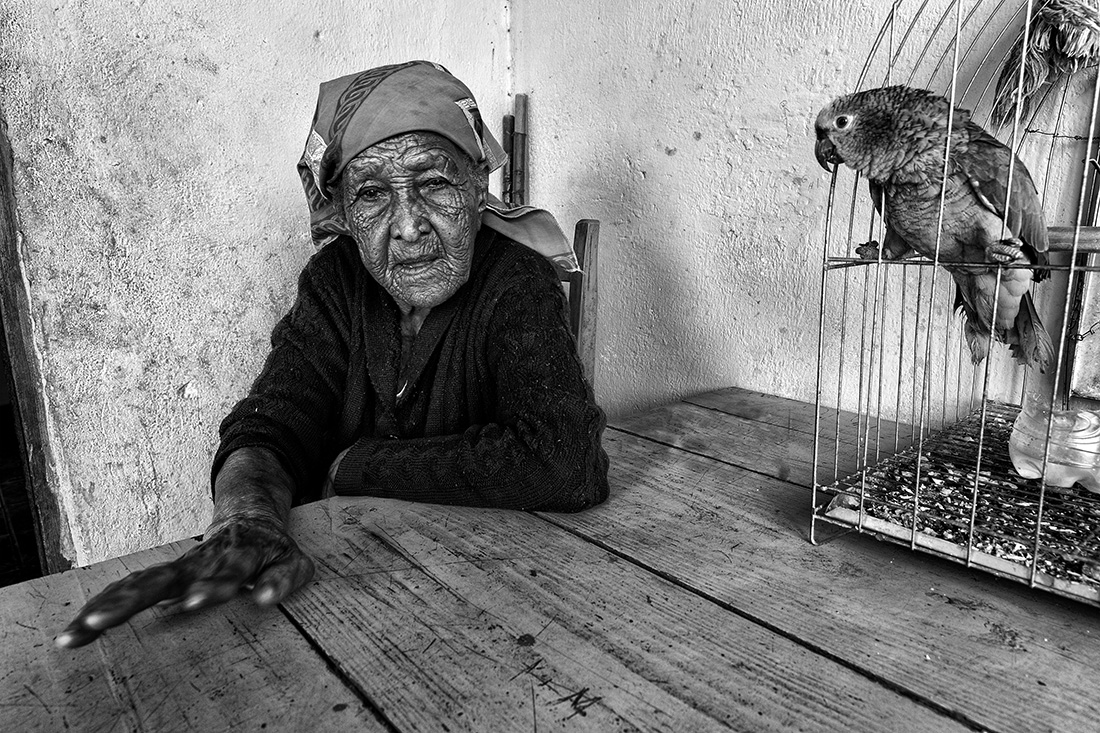 Traditional Peoples of Cerrado