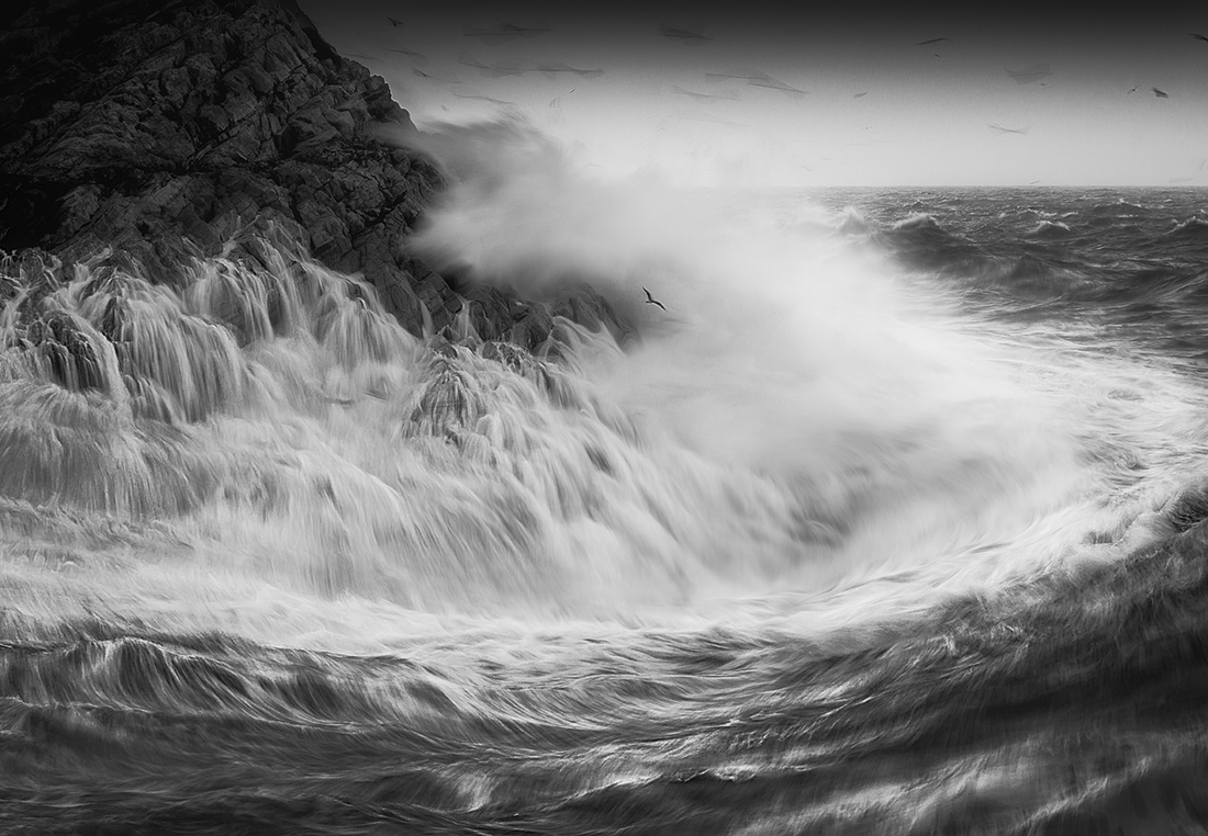 POSEIDO FORCE