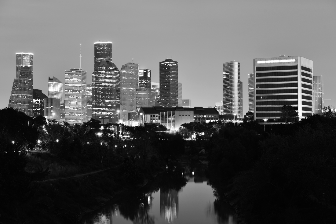 City forest 