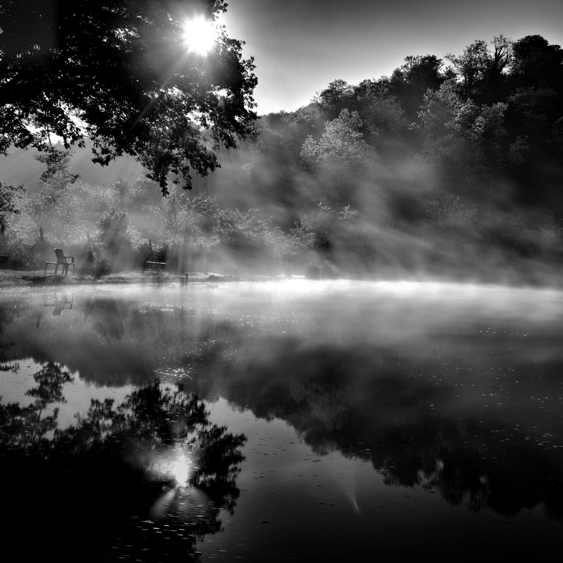 A sweet awakening