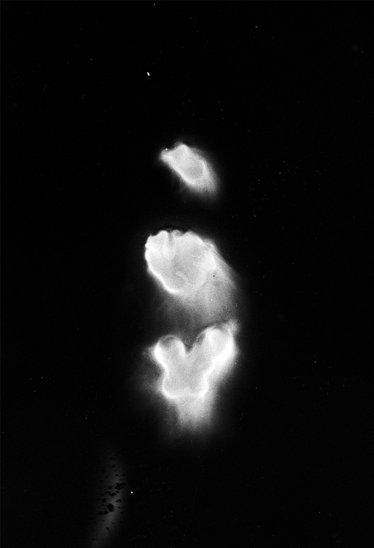 soul