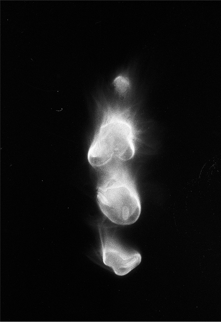 soul