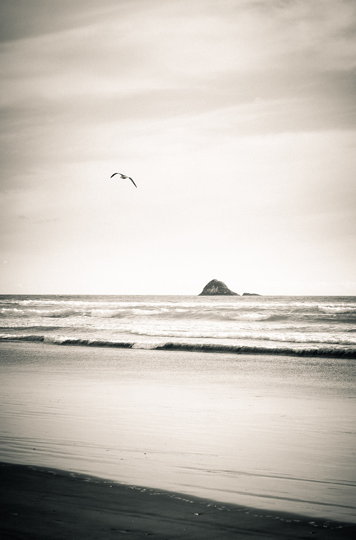 Winter Beach Landscapes