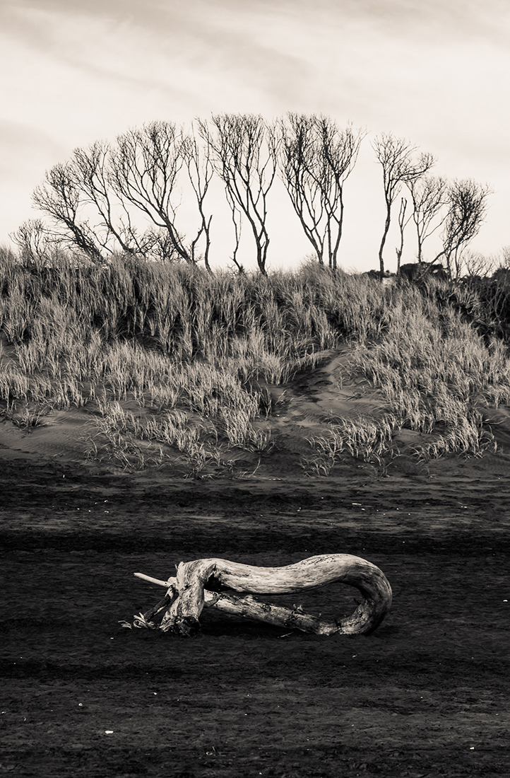 Winter Beach Landscapes