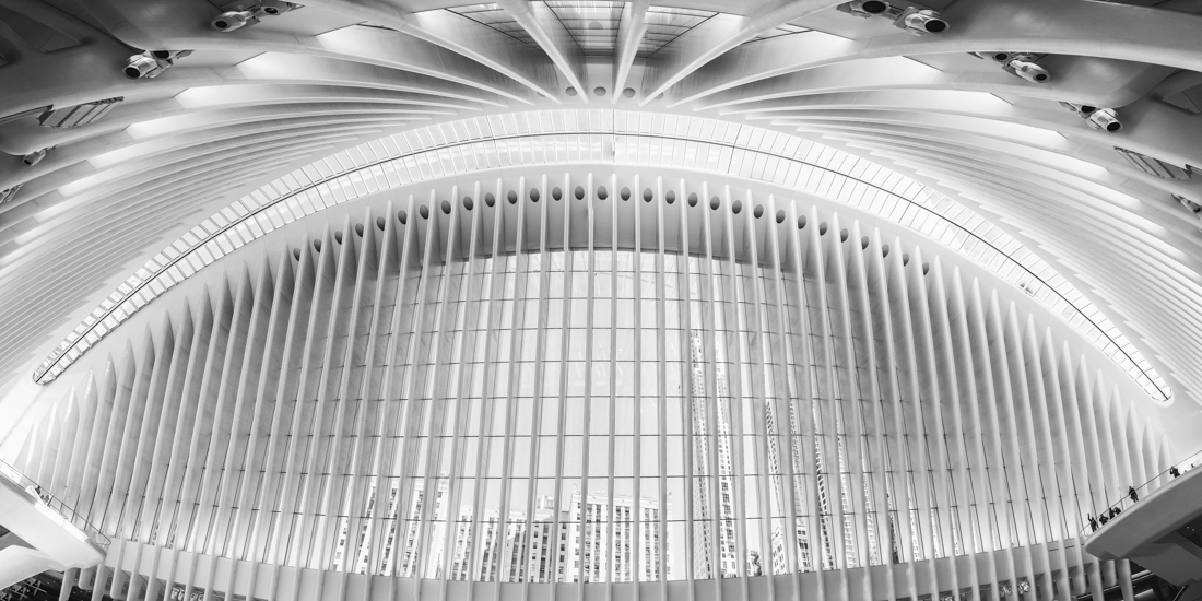 The Oculus