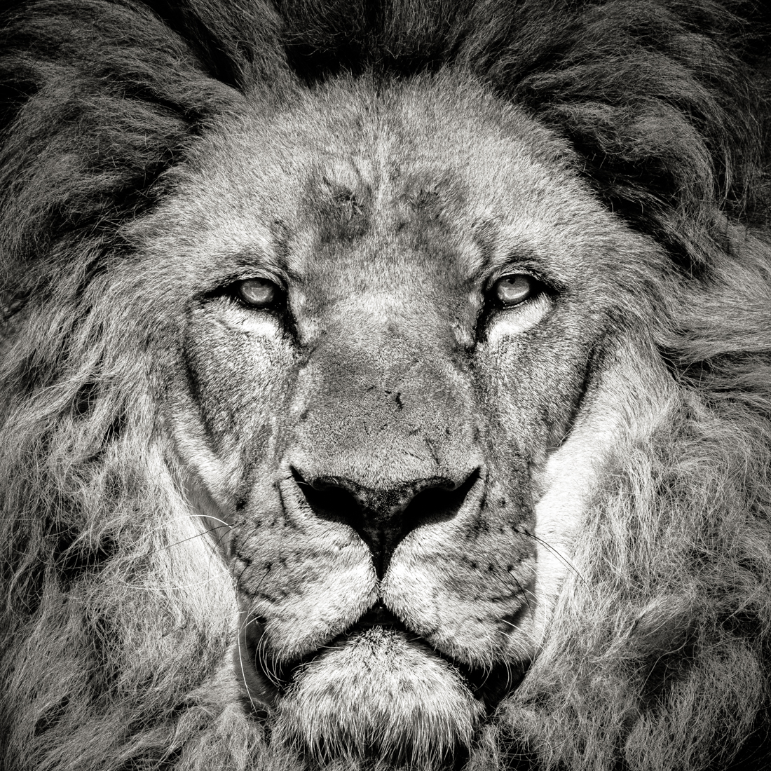 Beyond Regal