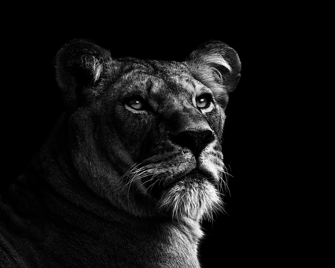 Beyond Regal