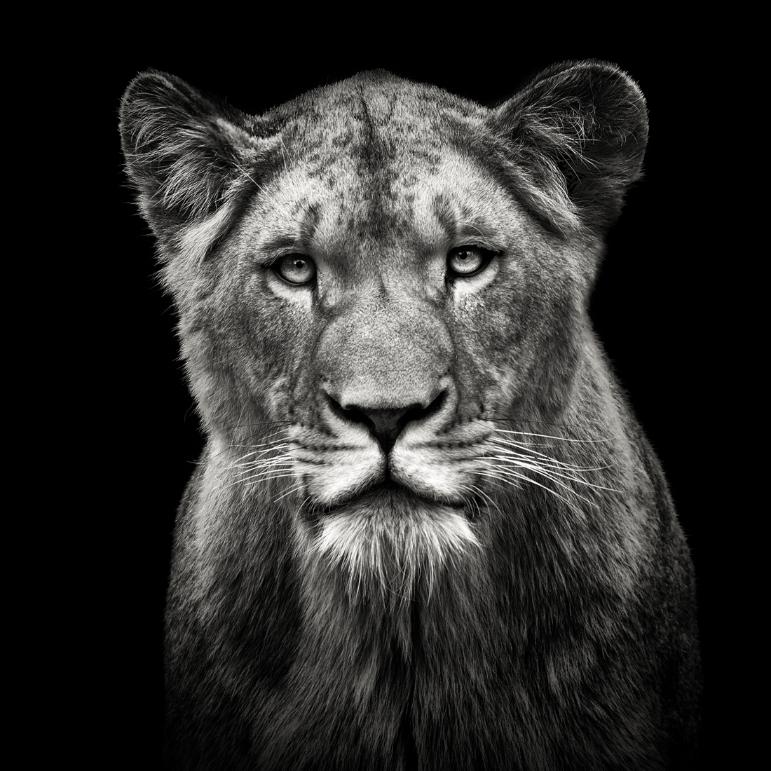 Beyond Regal