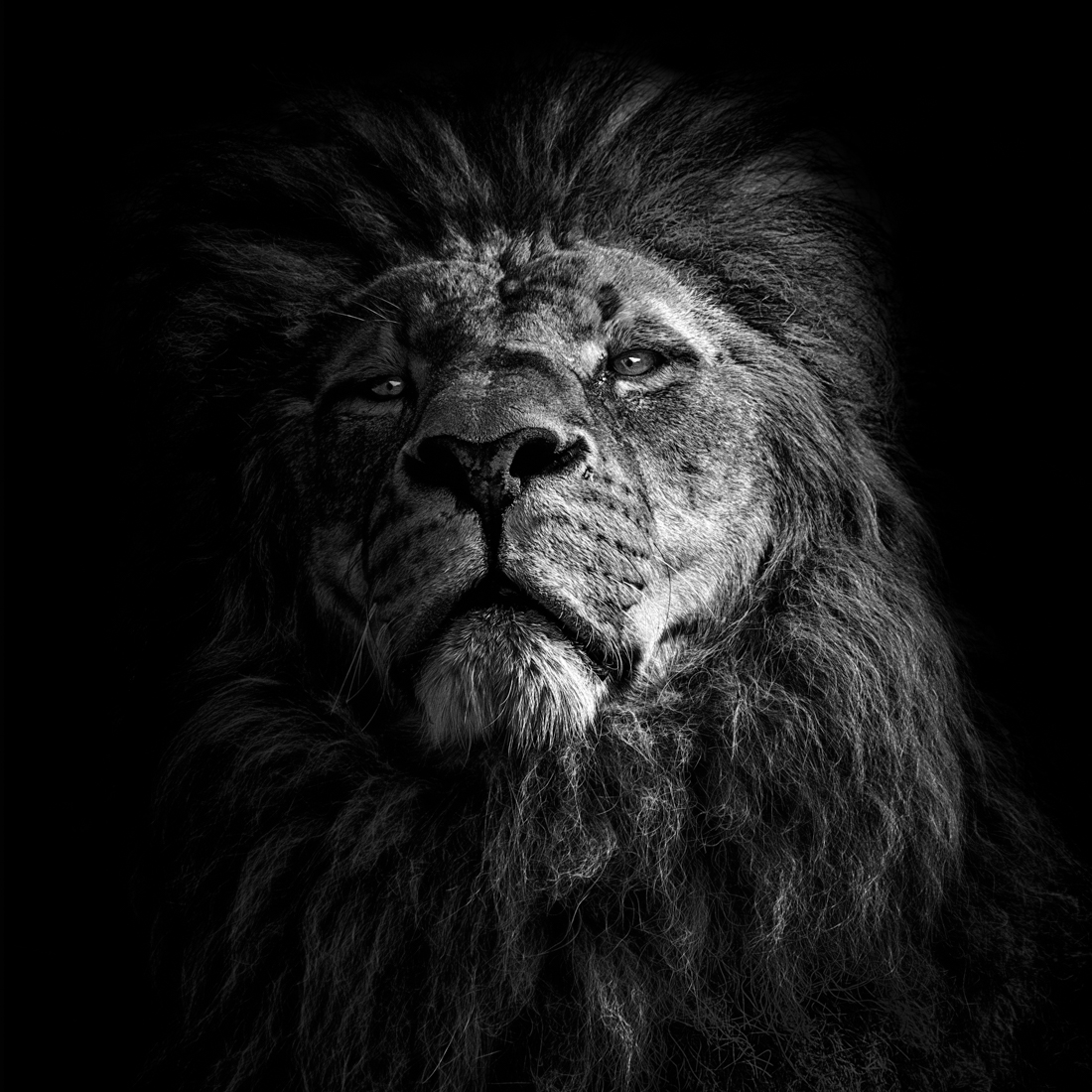 Beyond Regal