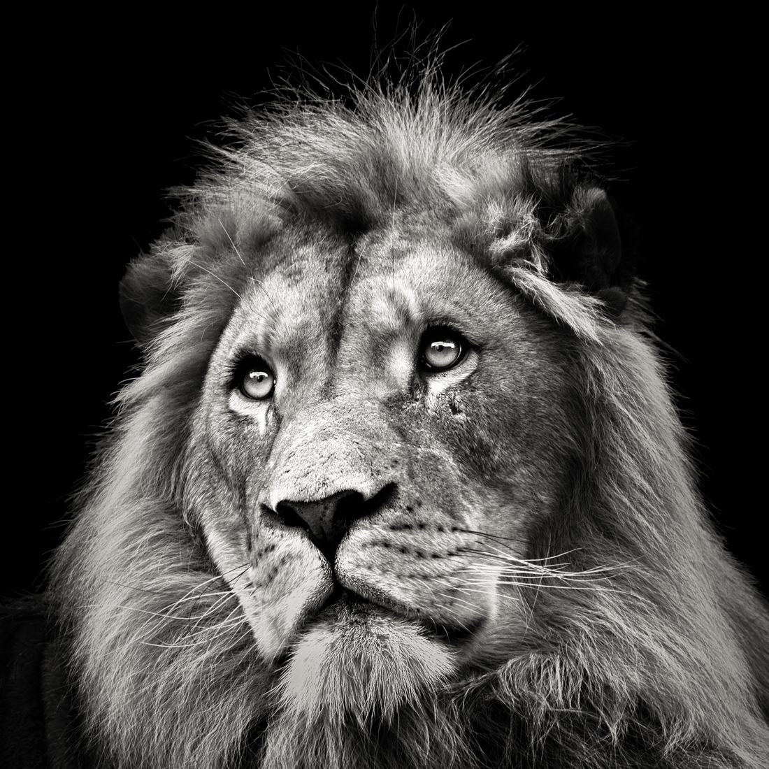 Beyond Regal