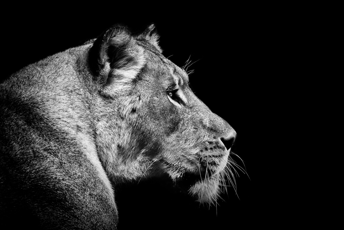 Beyond Regal