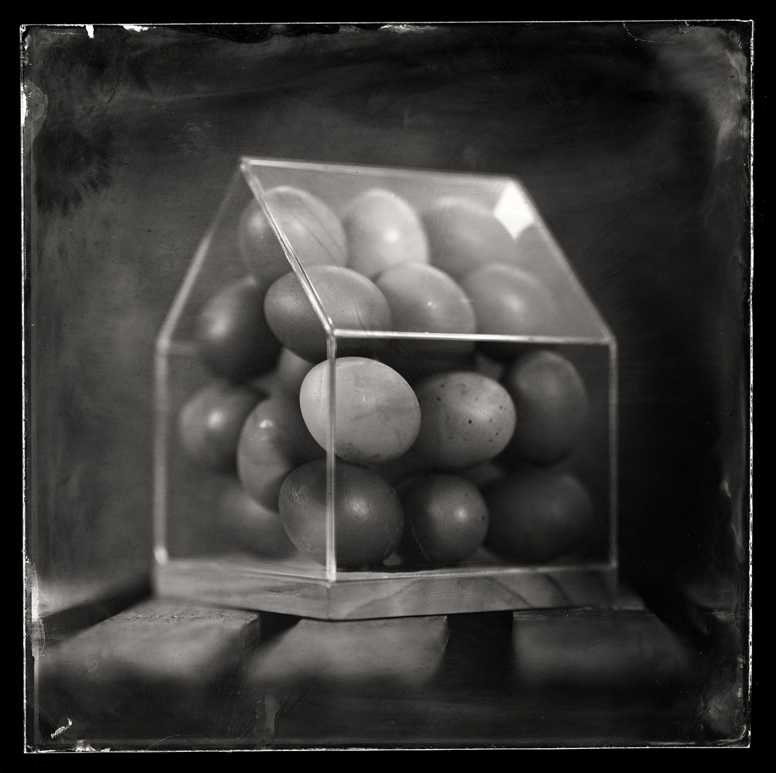 The Egg House